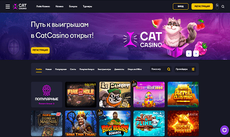 Онлайн казино Cat Онлайн казино Cat