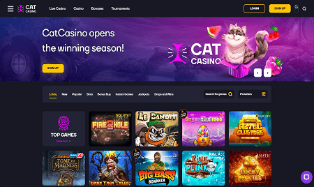 Online Cat casino Online Cat casino